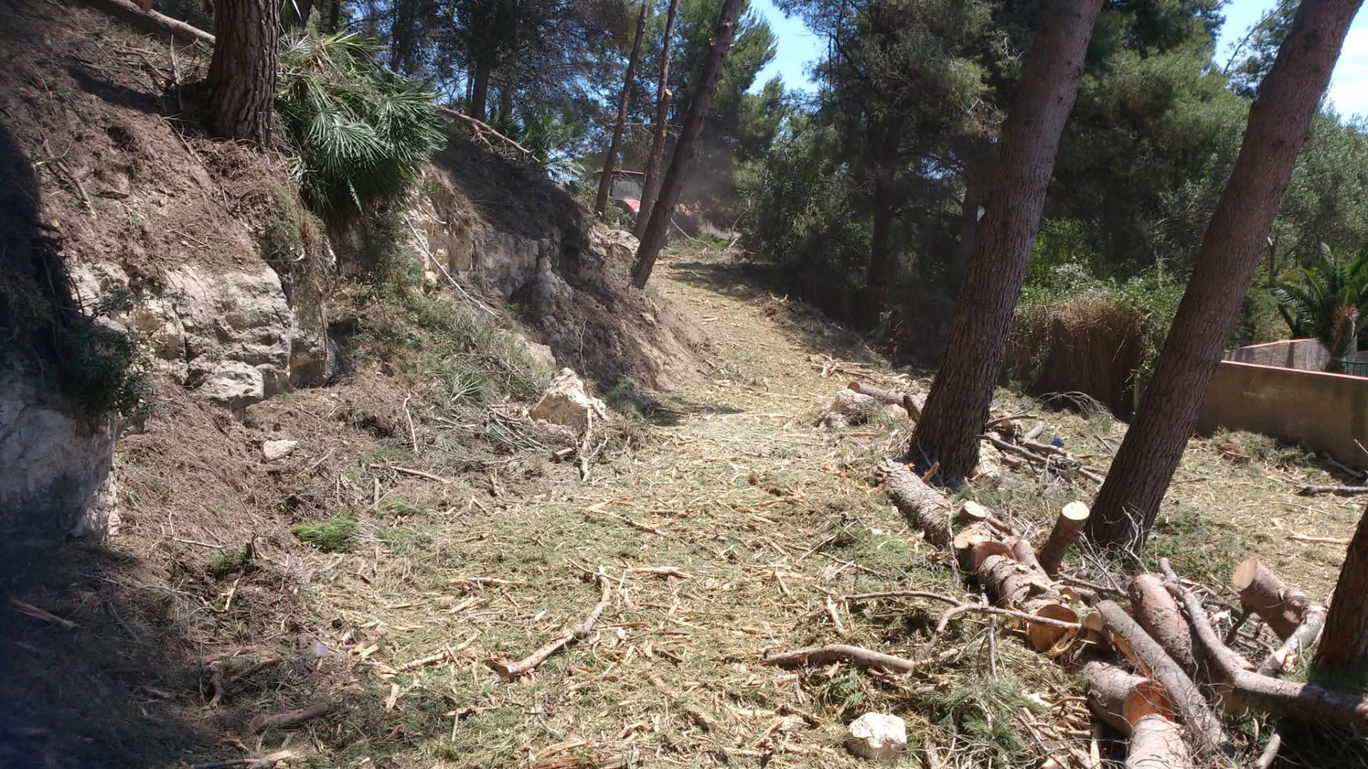 Franja forestal despejada tras la retirada de vegetación
