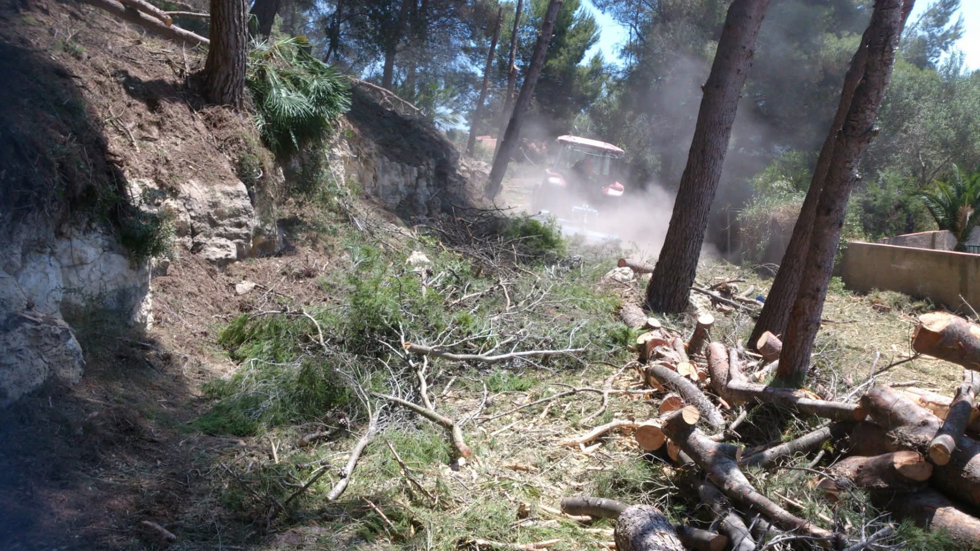 Restos de poda y madera antes del triturado mecanizado