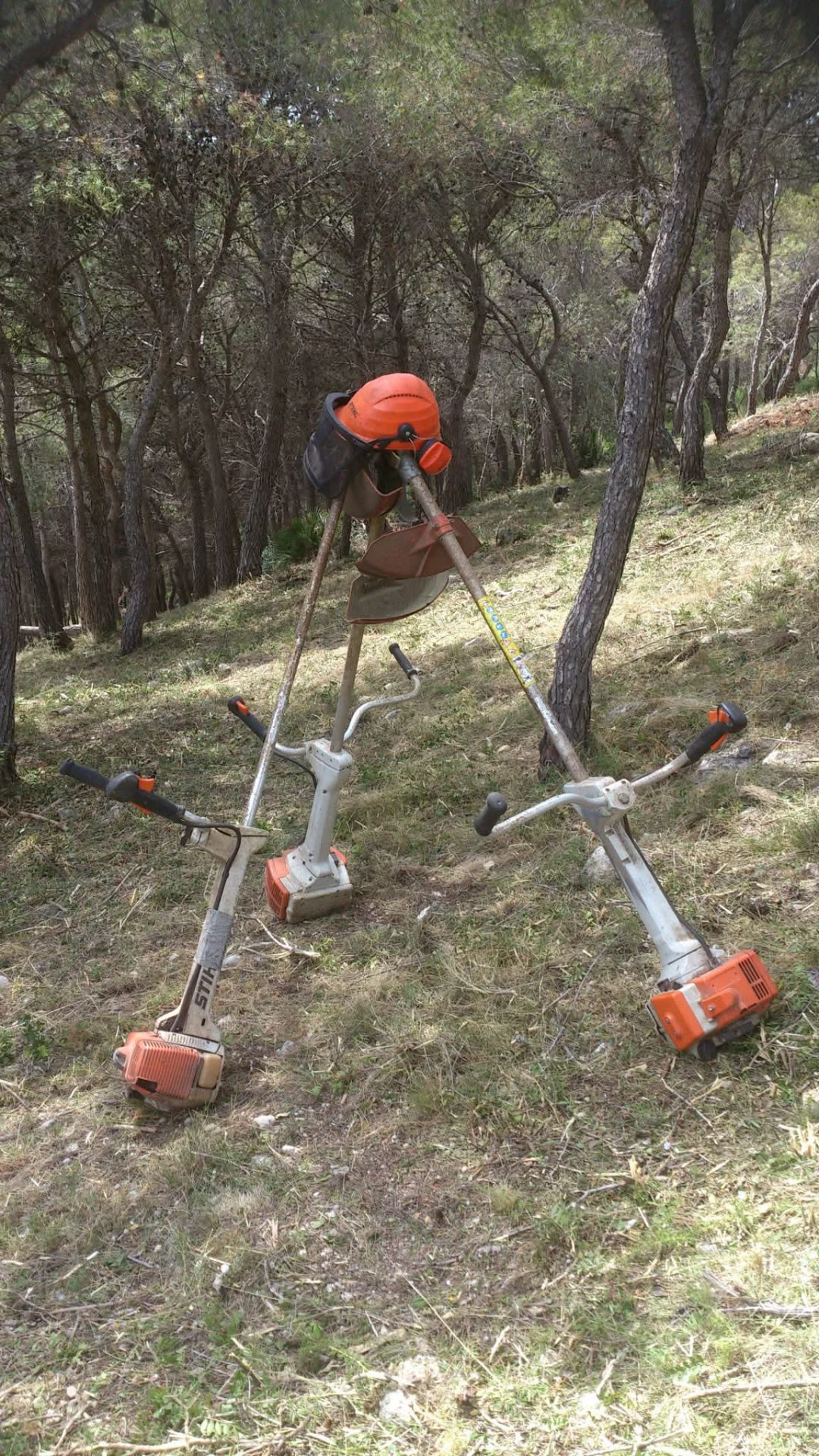 Desbrozadoras preparadas para el mantenimiento forestal
