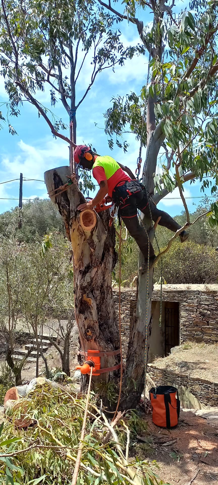 Corte controlado de los últimos tramos en altura.
