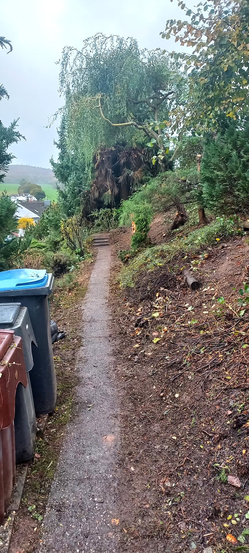 Camino inferior despejado en el jardín