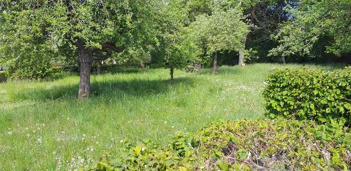 Parcela privada de Obergüde con hierba alta antes del desbroce