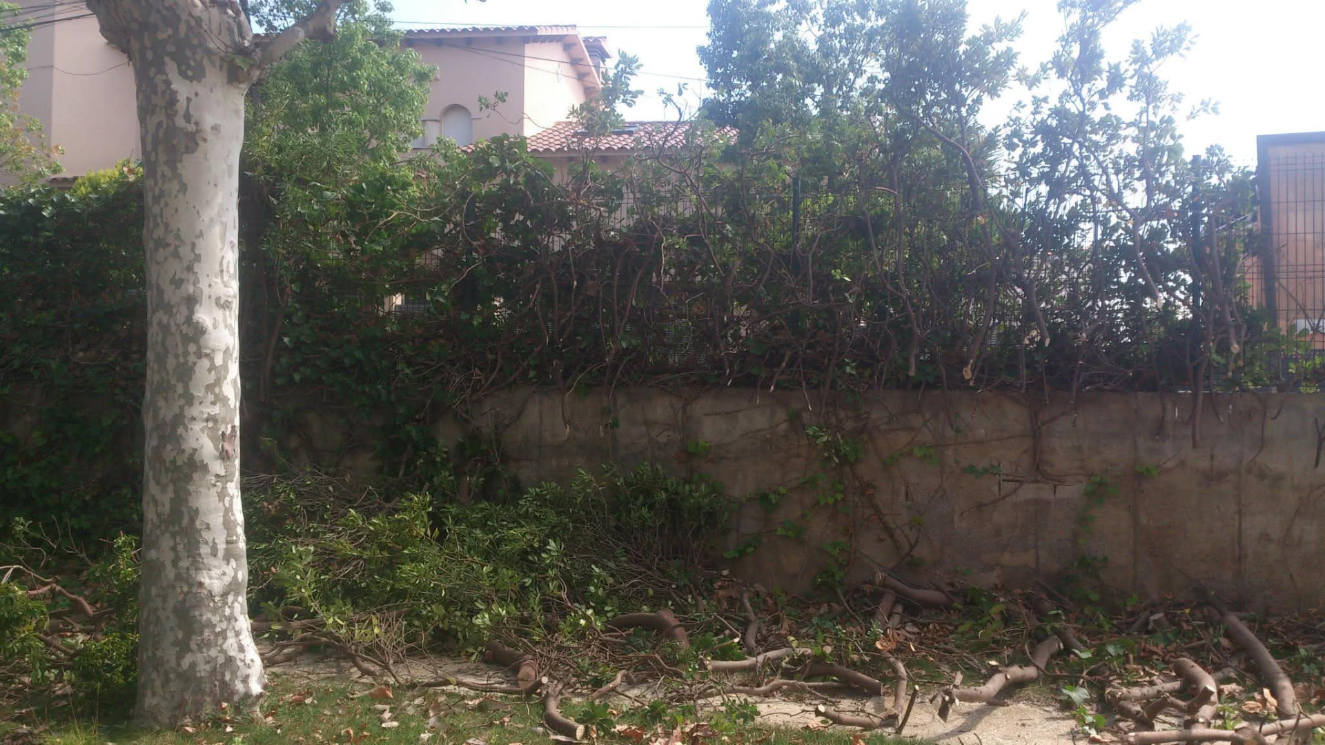 Del cerramiento cubierto al acabado limpio 1