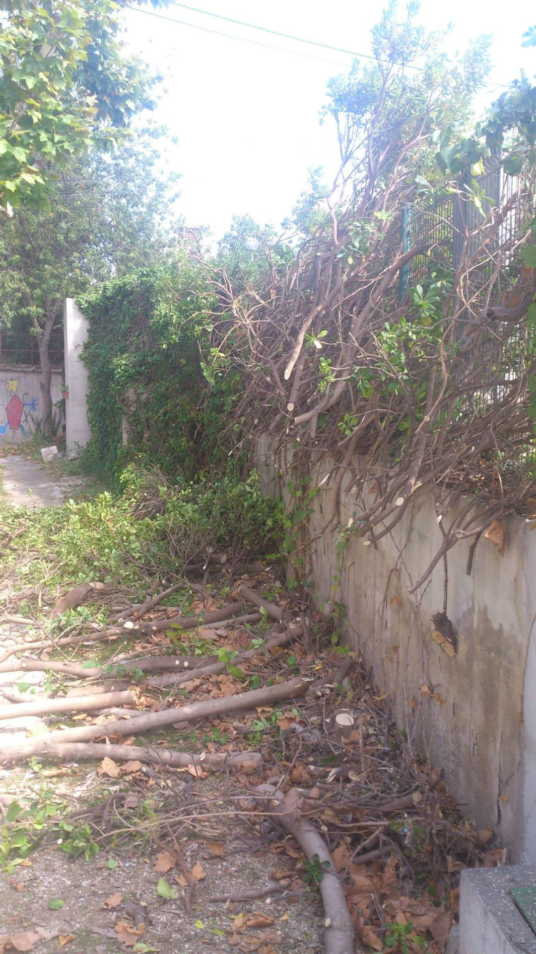 Del cerramiento cubierto al acabado limpio 2