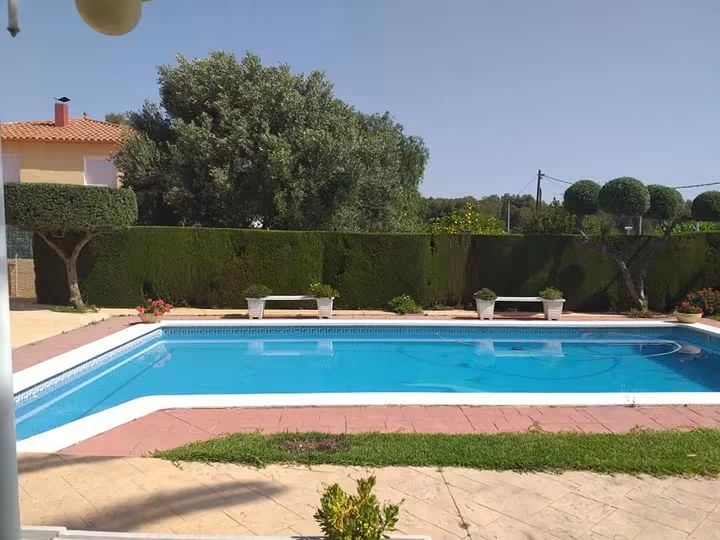 Valla recortada junto a la piscina