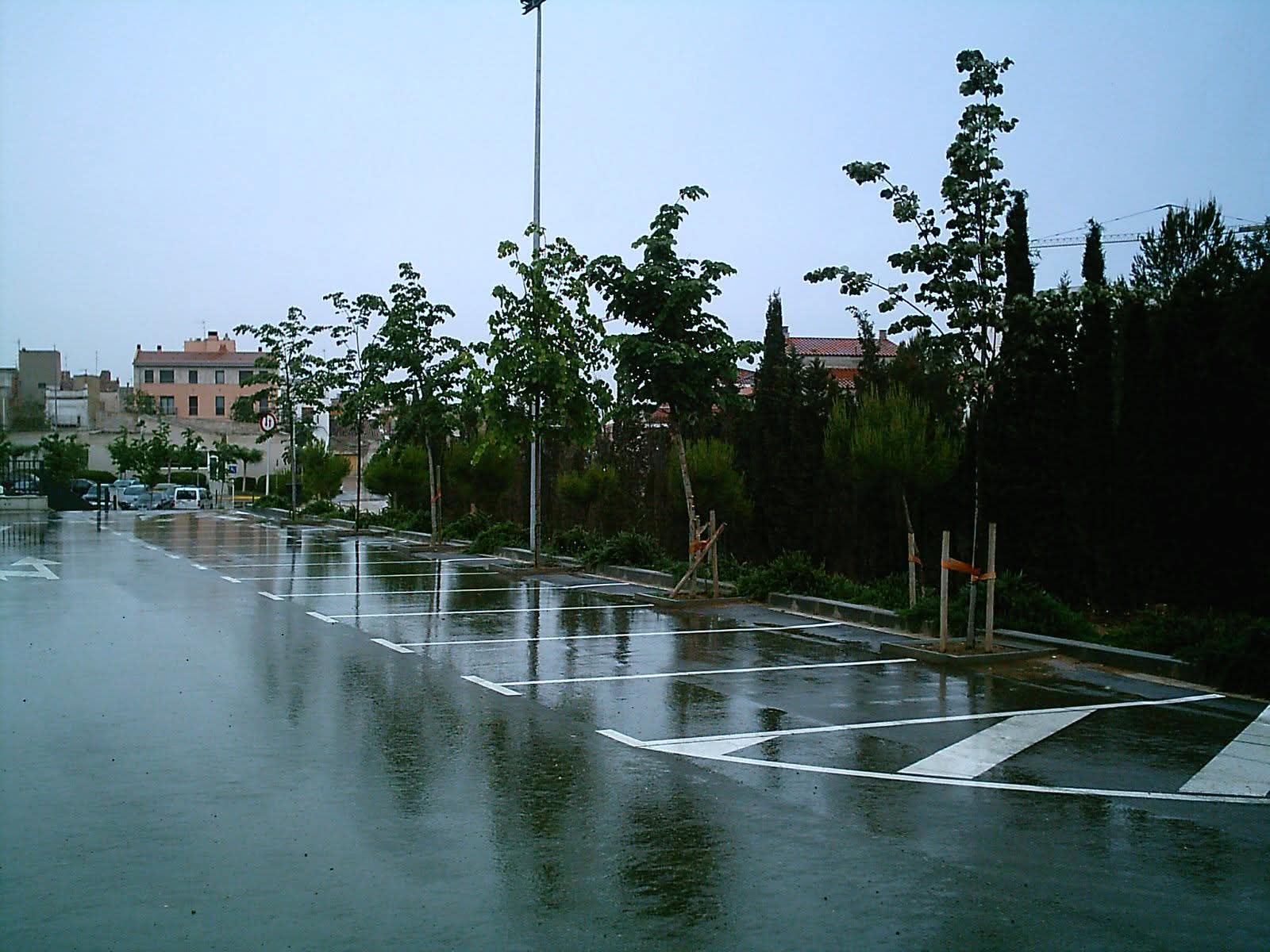 Plantación distribuida entre las plazas