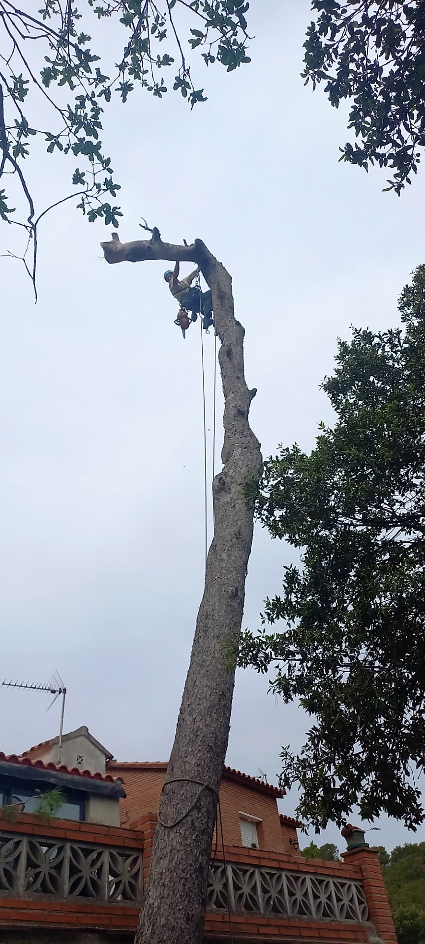 Desmontaje de la estructura superior.