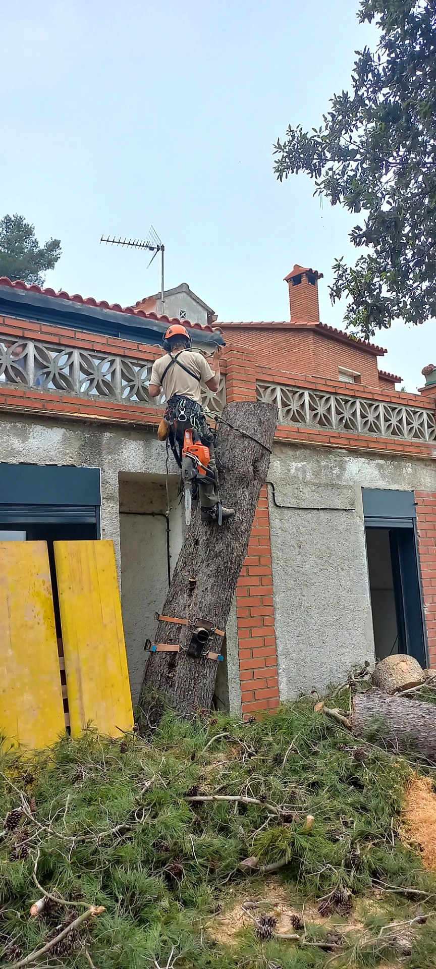 Corte de los últimos tramos con control desde el suelo.