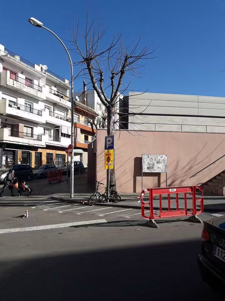 Tala en la vía pública para una constructora.